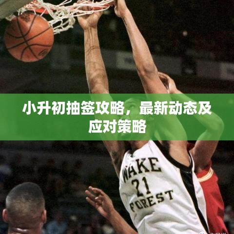 小升初抽签攻略，最新动态及应对策略
