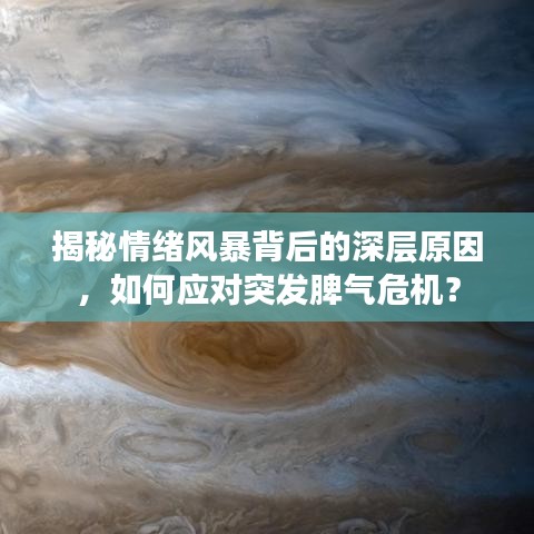揭秘情绪风暴背后的深层原因，如何应对突发脾气危机？