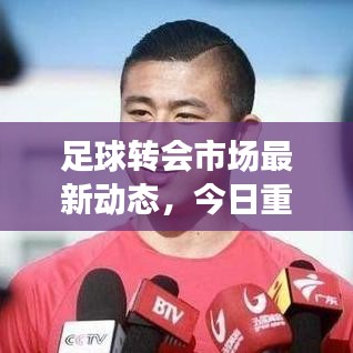 足球转会市场最新动态，今日重磅转会消息汇总！