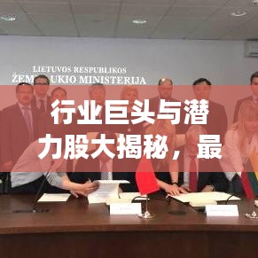 行业巨头与潜力股大揭秘，最新公司排名榜值得关注！