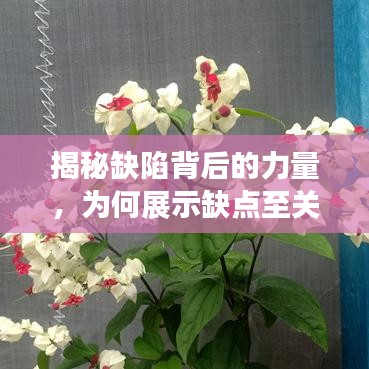 一往无前