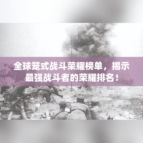 全球笼式战斗荣耀榜单，揭示最强战斗者的荣耀排名！
