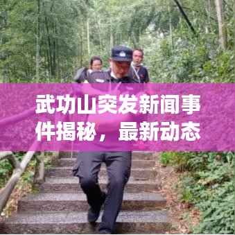 武功山突发新闻事件揭秘，最新动态与影响分析