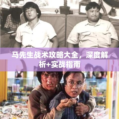 马先生战术攻略大全，深度解析+实战指南