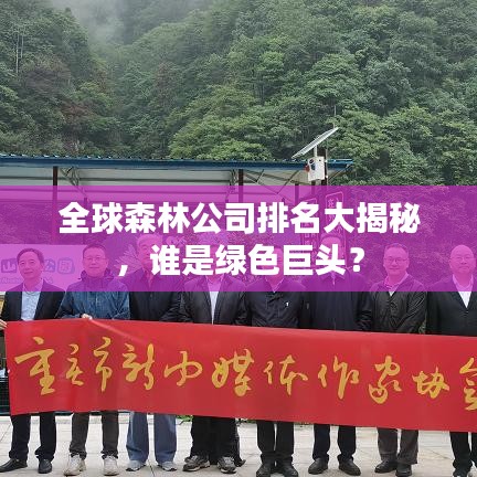 全球森林公司排名大揭秘，谁是绿色巨头？