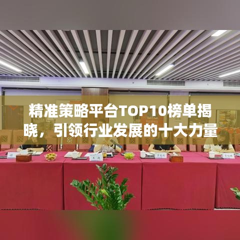 精准策略平台TOP10榜单揭晓，引领行业发展的十大力量
