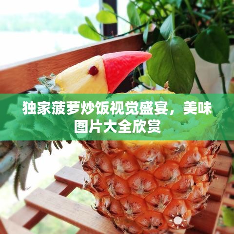 独家菠萝炒饭视觉盛宴，美味图片大全欣赏
