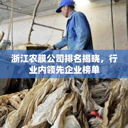 浙江农膜公司排名揭晓，行业内领先企业榜单
