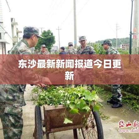 东沙最新新闻报道今日更新