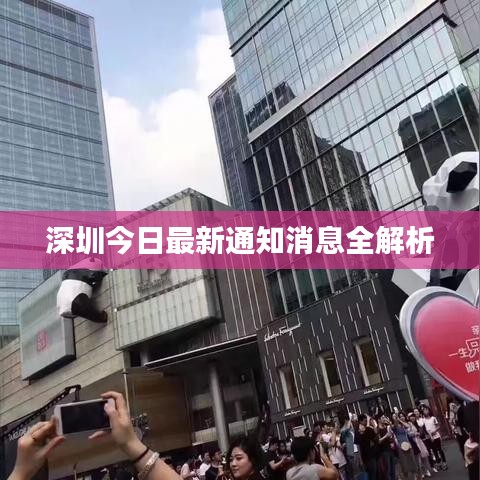 深圳今日最新通知消息全解析