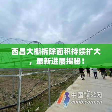 西昌大棚拆除面积持续扩大，最新进展揭秘！