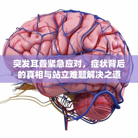 突发耳聋紧急应对，症状背后的真相与站立难题解决之道