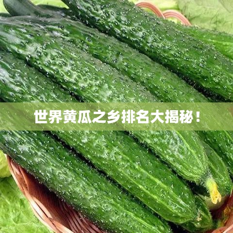 世界黄瓜之乡排名大揭秘！