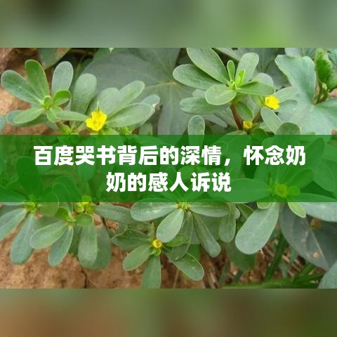 百度哭书背后的深情，怀念奶奶的感人诉说