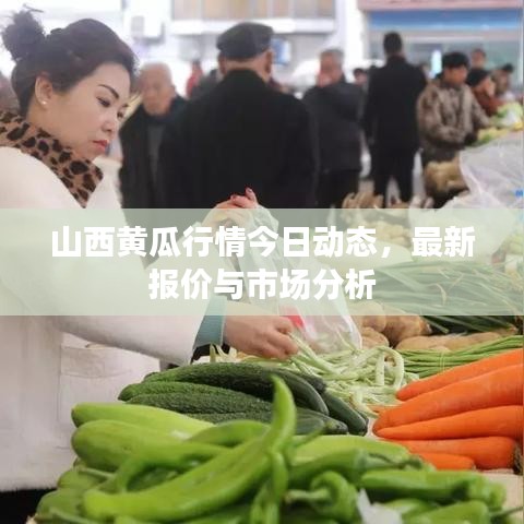 山西黄瓜行情今日动态，最新报价与市场分析