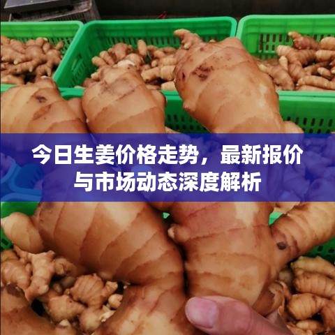 井蛙之见
