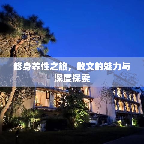 修身养性之旅，散文的魅力与深度探索