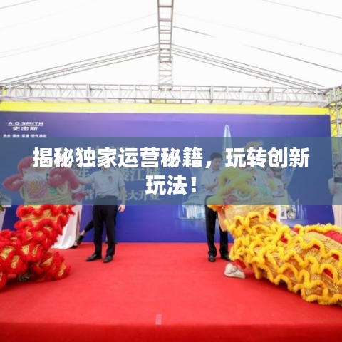 揭秘独家运营秘籍，玩转创新玩法！