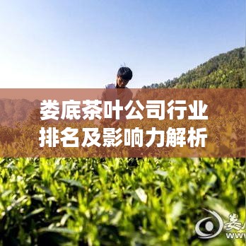娄底茶叶公司行业排名及影响力解析