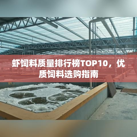 虾饲料质量排行榜TOP10，优质饲料选购指南