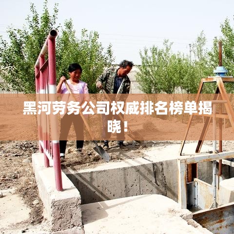 黑河劳务公司权威排名榜单揭晓！
