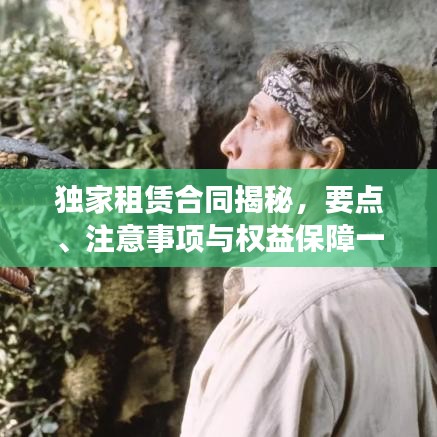 独家租赁合同揭秘，要点、注意事项与权益保障一网打尽！