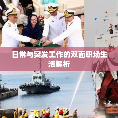 日常与突发工作的双面职场生活解析