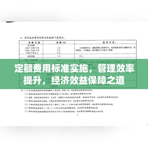 定额费用标准实施，管理效率提升，经济效益保障之道
