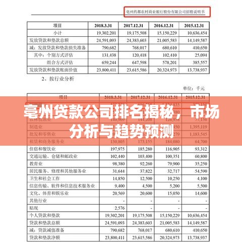 亳州贷款公司排名揭秘，市场分析与趋势预测