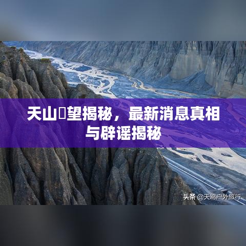 候鸟南飞