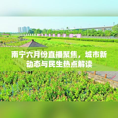 南宁六月份直播聚焦，城市新动态与民生热点解读