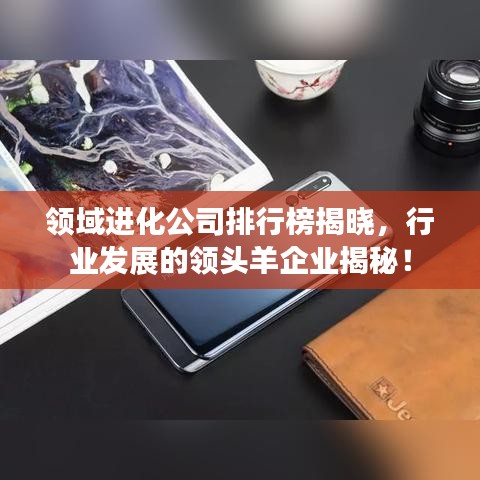 领域进化公司排行榜揭晓，行业发展的领头羊企业揭秘！
