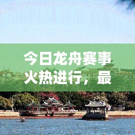 今日龙舟赛事火热进行，最新动态一网打尽！