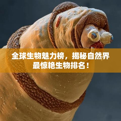全球生物魅力榜，揭秘自然界最惊艳生物排名！