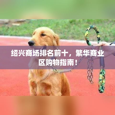 绍兴商场排名前十，繁华商业区购物指南！