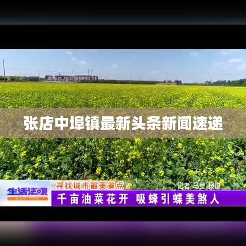 知错就改
