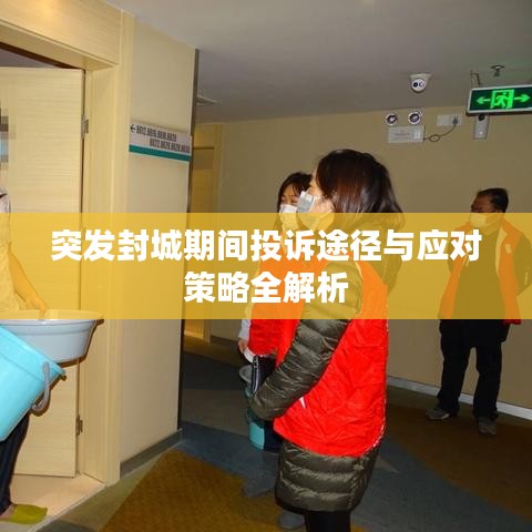 飞龙在天