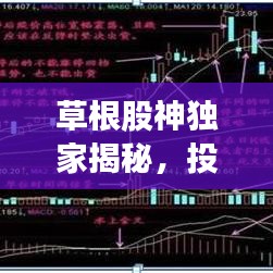草根股神独家揭秘，投资股市的智慧与策略之道