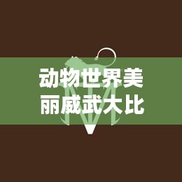 动物世界美丽威武大比拼，惊艳榜单揭晓！