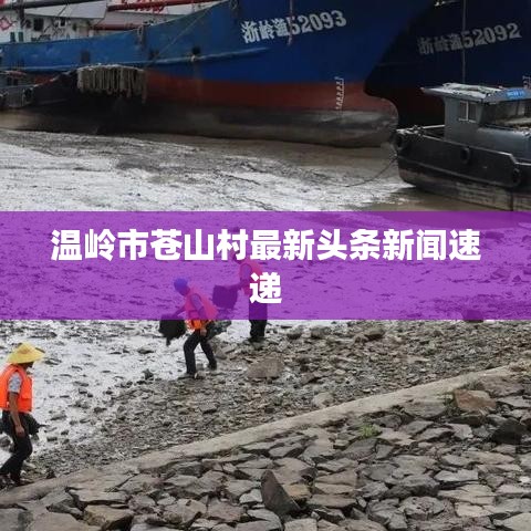 温岭市苍山村最新头条新闻速递