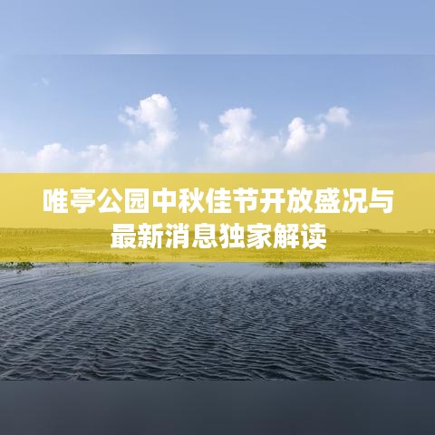 唯亭公园中秋佳节开放盛况与最新消息独家解读