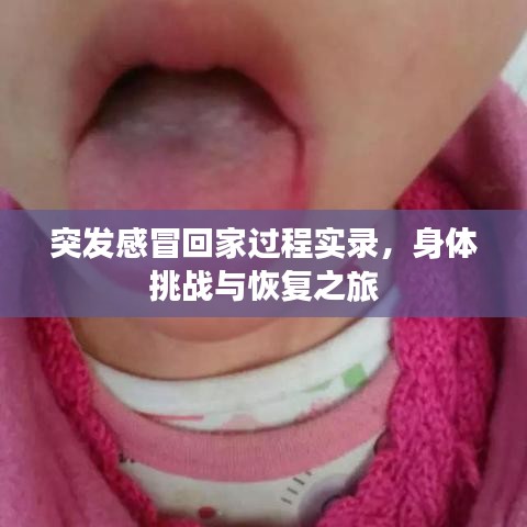 突发感冒回家过程实录，身体挑战与恢复之旅