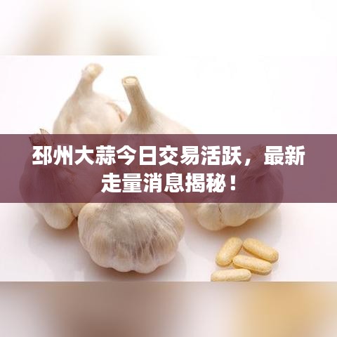 邳州大蒜今日交易活跃，最新走量消息揭秘！