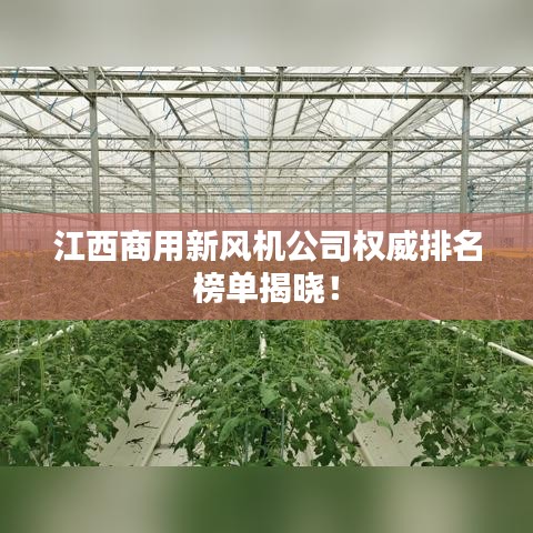 江西商用新风机公司权威排名榜单揭晓！