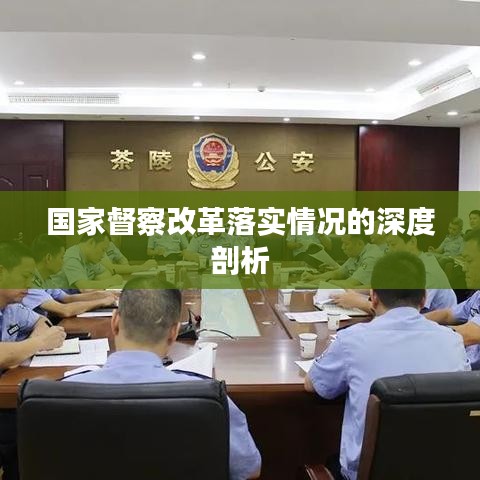 国家督察改革落实情况的深度剖析