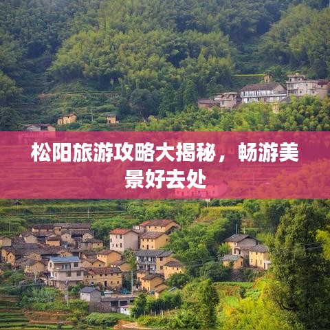 松阳旅游攻略大揭秘，畅游美景好去处