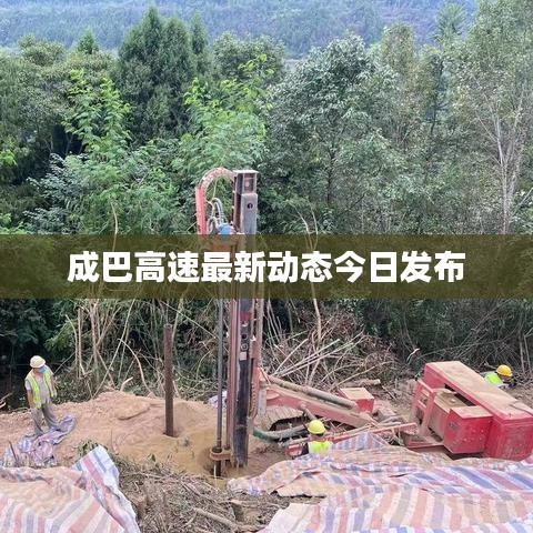 成巴高速最新动态今日发布