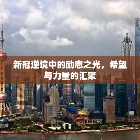 新冠逆境中的励志之光，希望与力量的汇聚
