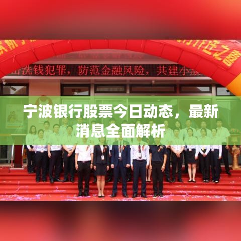 宁波银行股票今日动态，最新消息全面解析