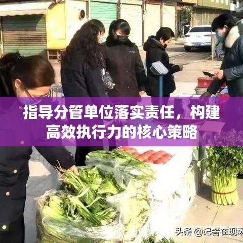 指导分管单位落实责任，构建高效执行力的核心策略